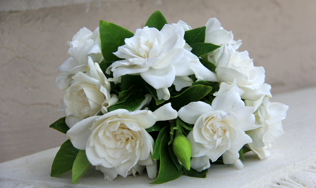 A close perspective of a wedding bouquet featuring white gardenias.