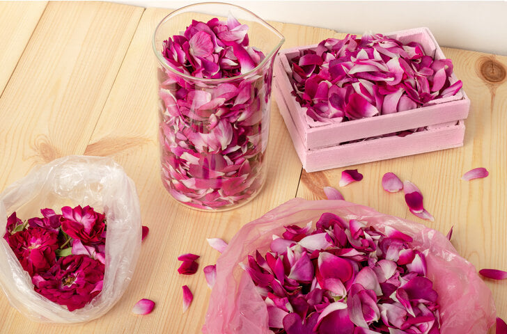 An image of dried rose petals.