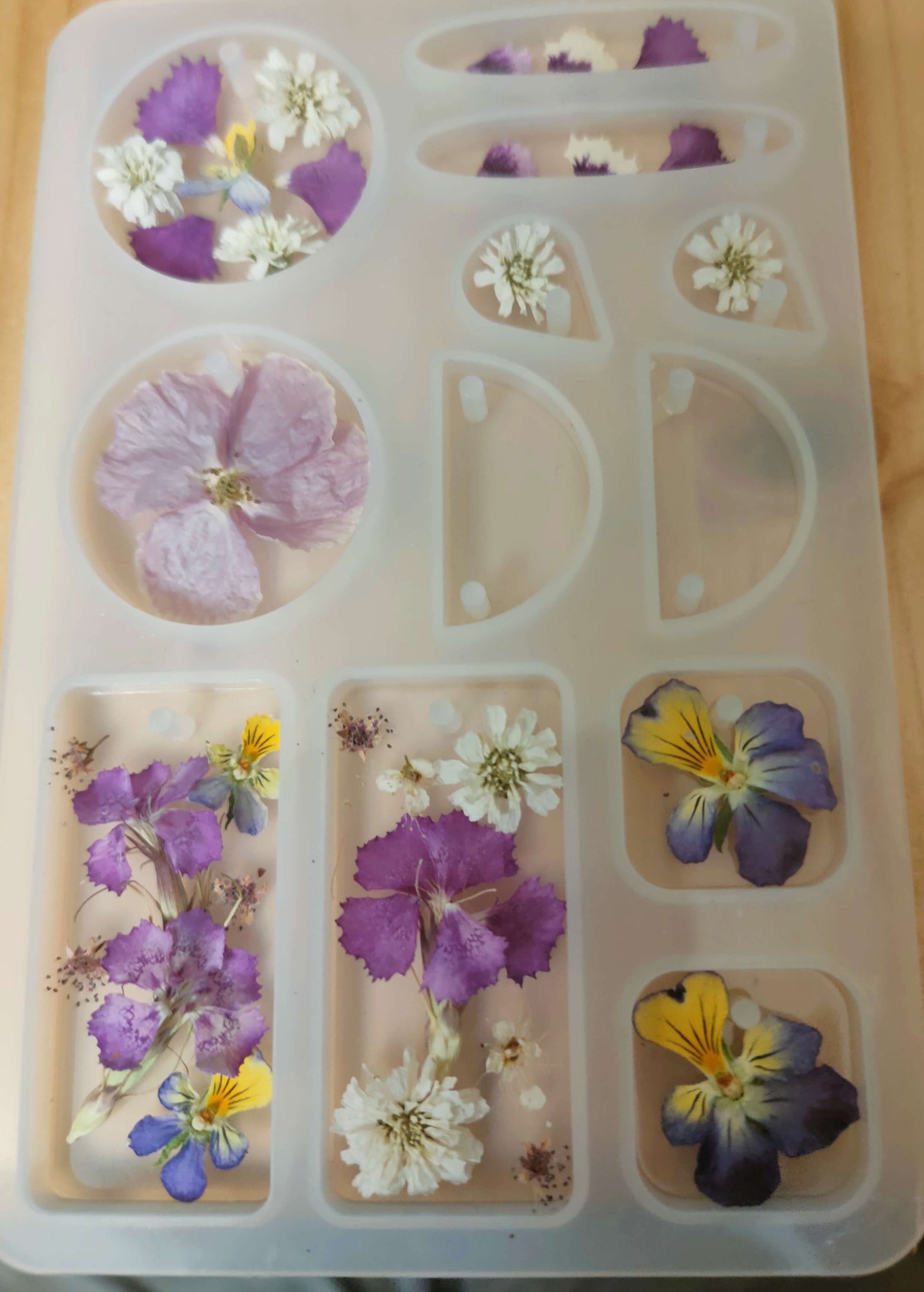 Dried flowers in molds for resin.