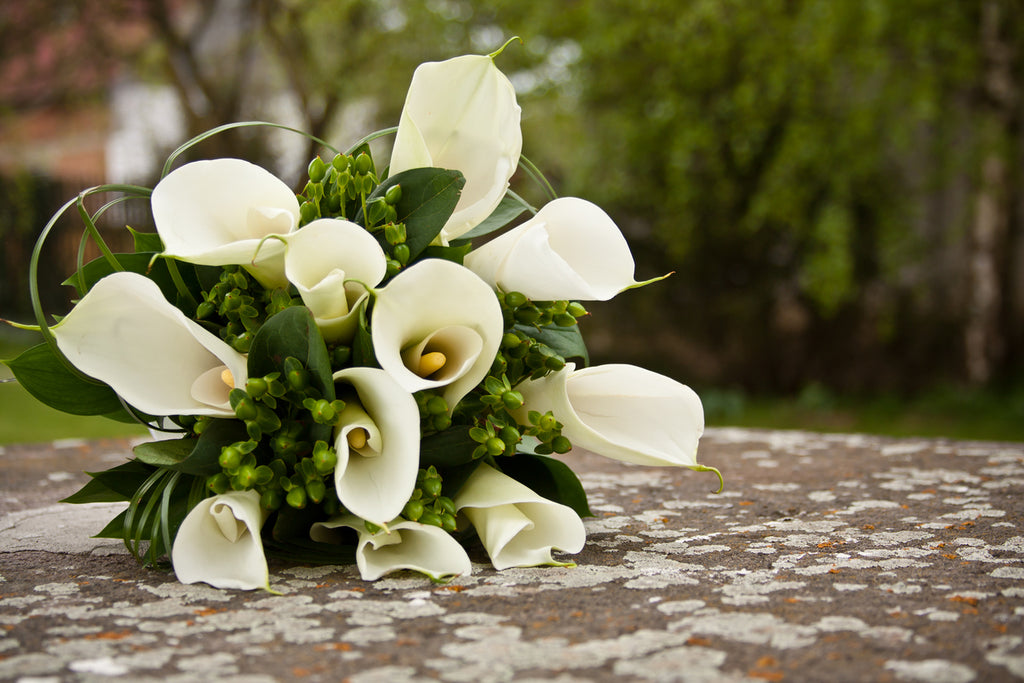 A top view of a bouquet of calla lilies.
