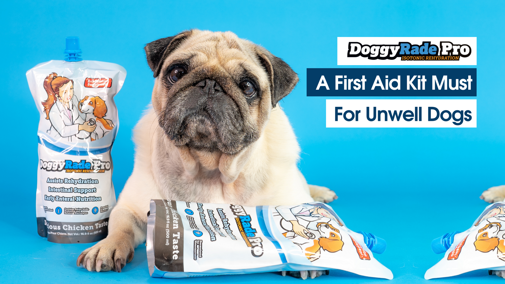 A must in the first aid kit of every dog owner in case of mild gastroi -  DoggyRade
