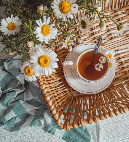 a cup of chamomile tea with chamomile flowers