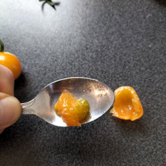 Mit einem Löffel werden die Kerne einer Tomate entfernt