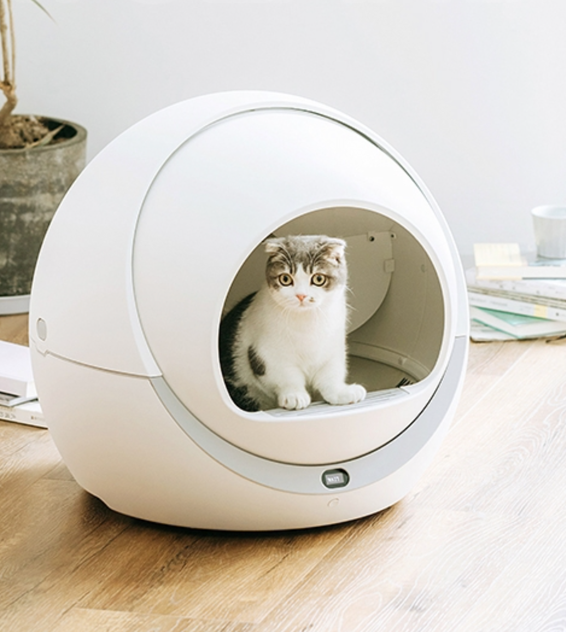 Poca La Litiere Automatique Pour Chat Toutchatpourchat