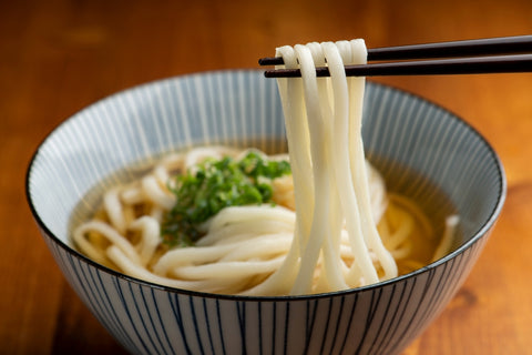 Bowl of udon noodles