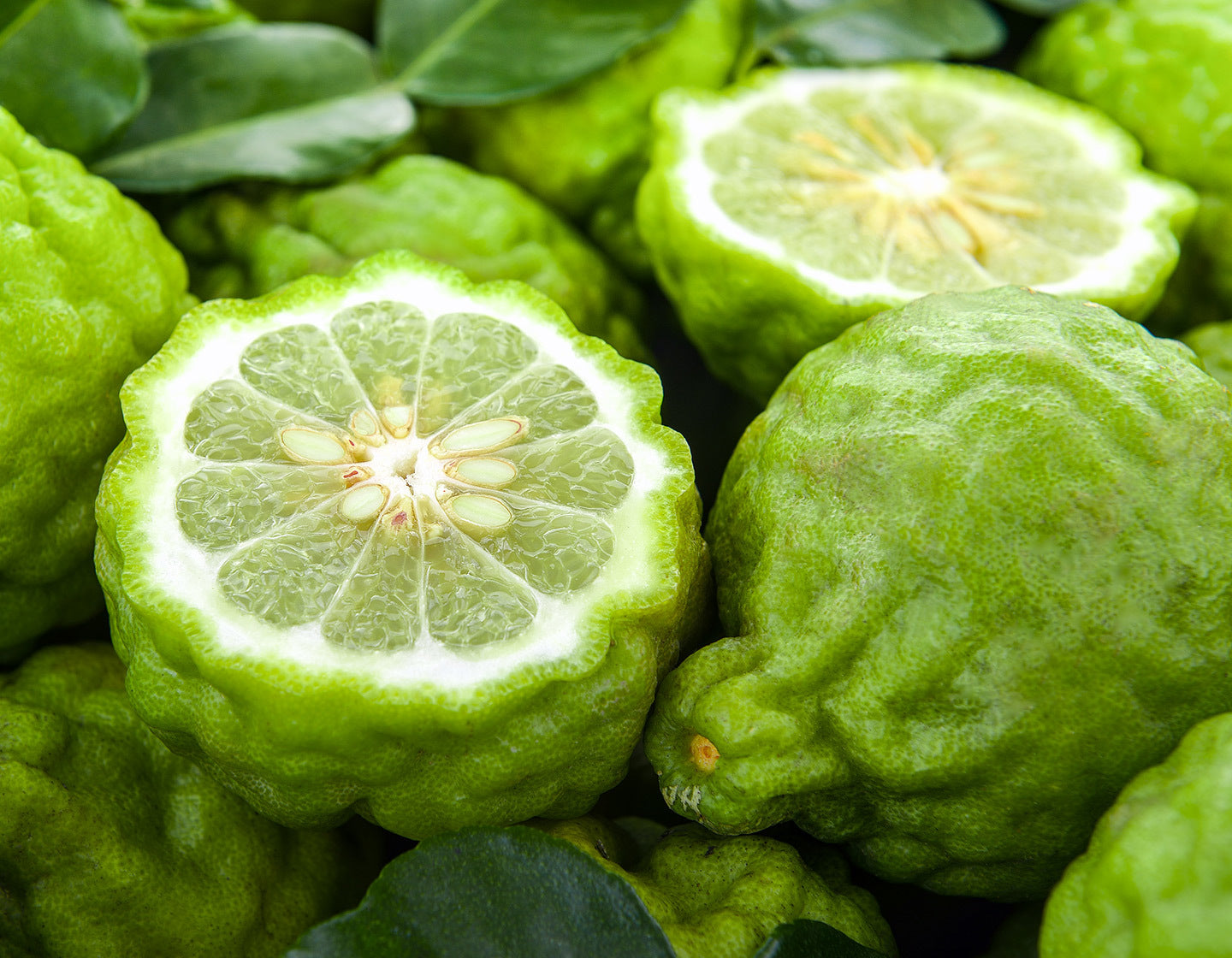 A large pile of green bergamot fruit, with one sliced open