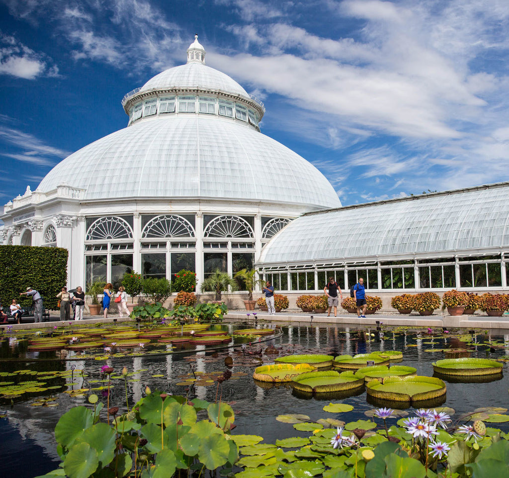 NYBG's Enid A. Haupt Conservatory and pool in foreground