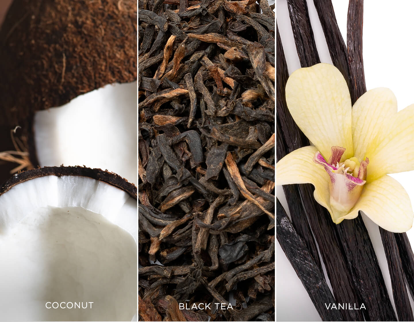 Orchid Vanilla ingredients: Coconut, vanilla bean and black tea