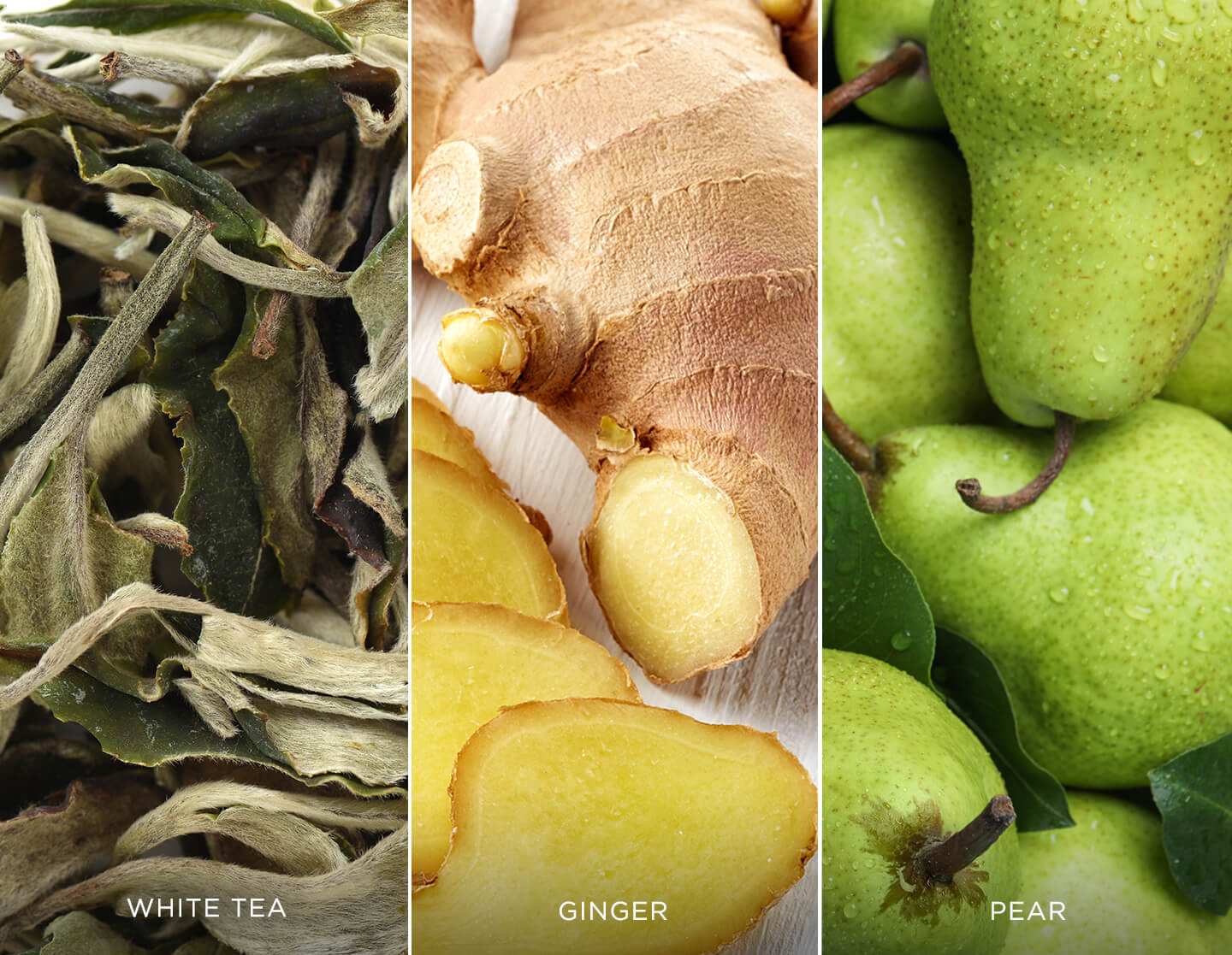 White Ginger Pear Ingredients: White tea, ginger and pear