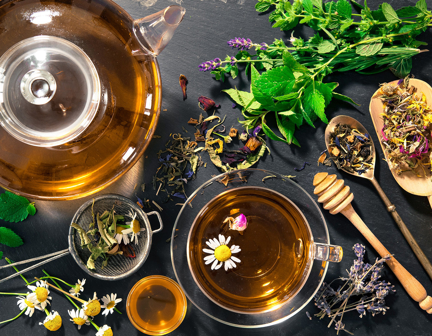 Glass teapot and teacup full of herbal tea and herbal tea ingredients on the side