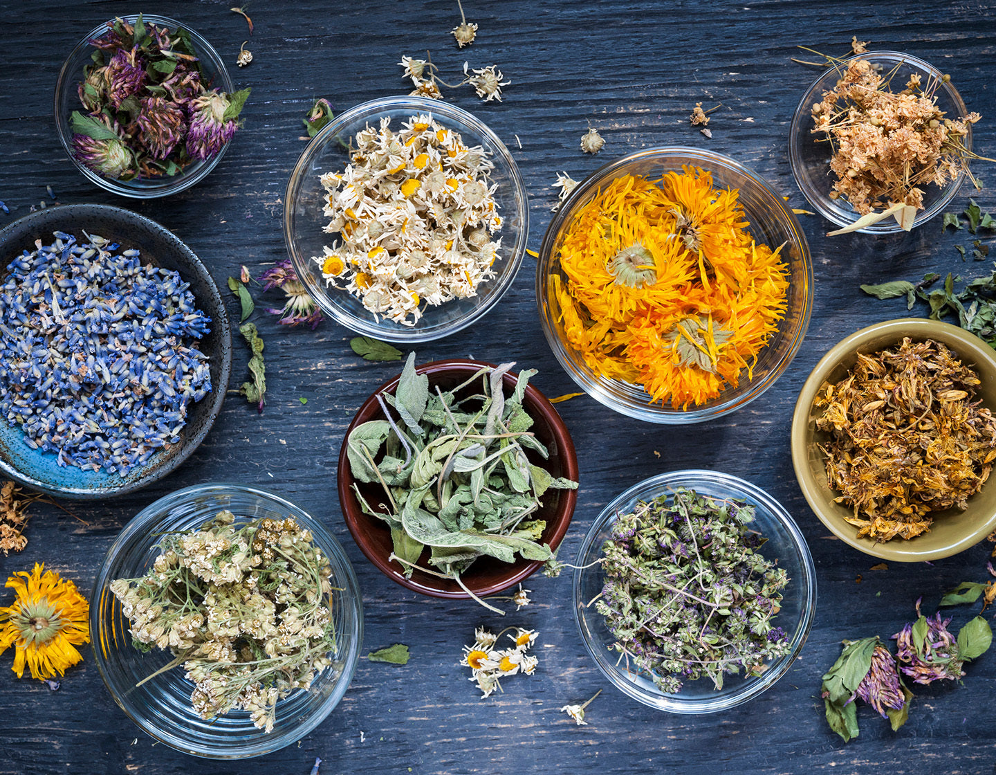 Bowls of herbal tea ingredients on a blue wooden table