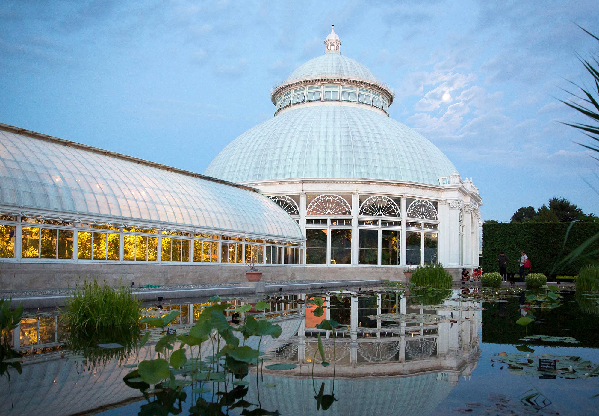 Enid A. Haupt Conservatory pool at The New York Botanical Garden