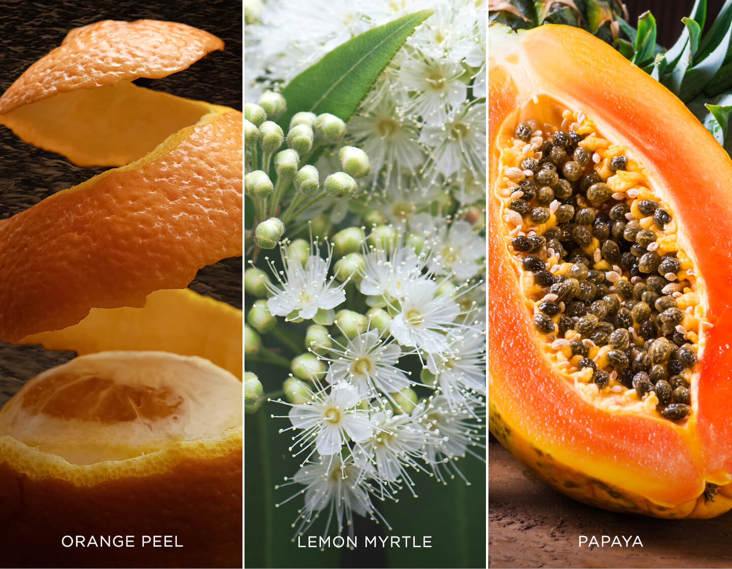 Close up of three ingredients in Orange Papaya Iced Tea