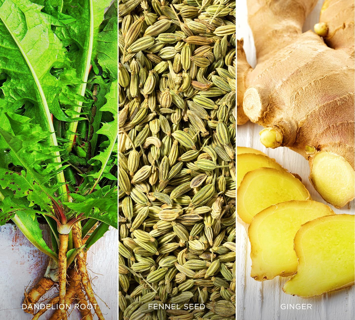 Purify ingredients: Fennel seed, ginger and dandelion root