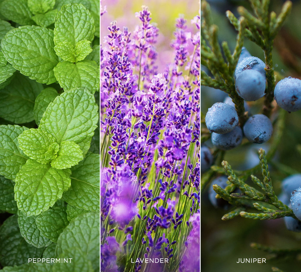 Serenity ingredients: Mint, lavender and juniper
