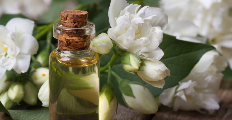 Jasmine Oil in a glass vile with jasmine blossoms