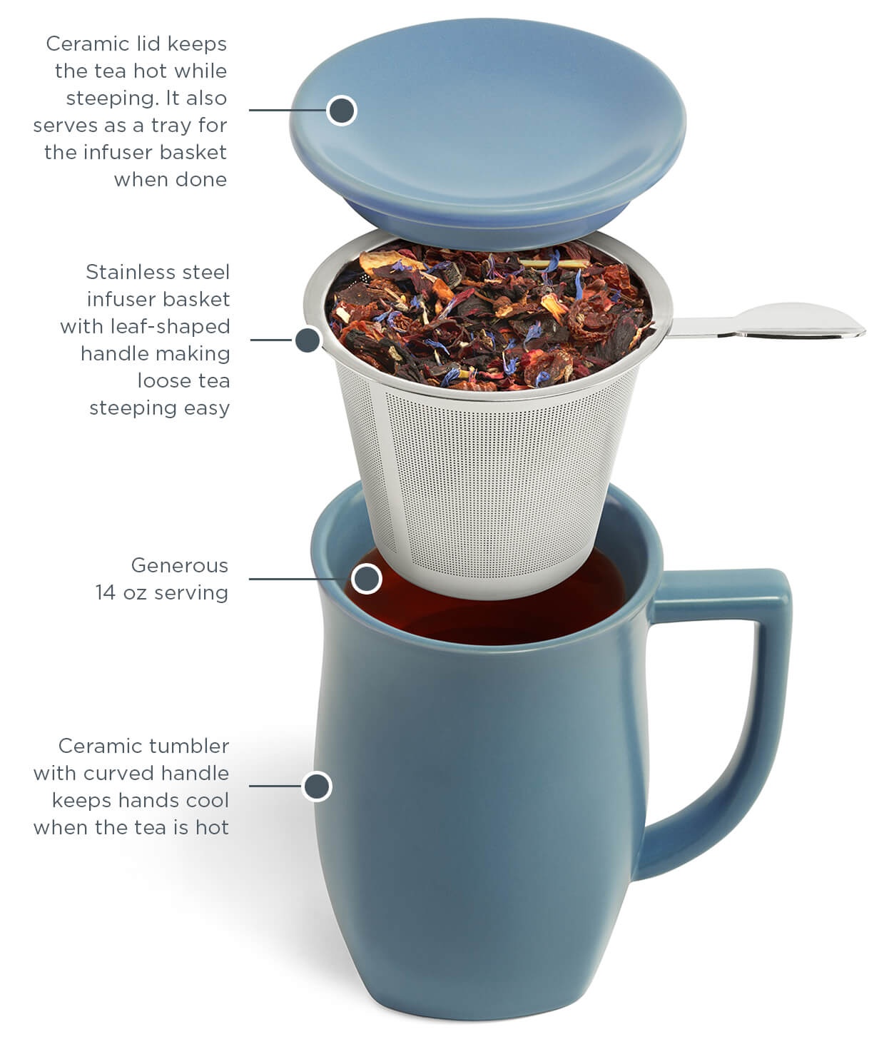 Fiore Steeping Cup diagram