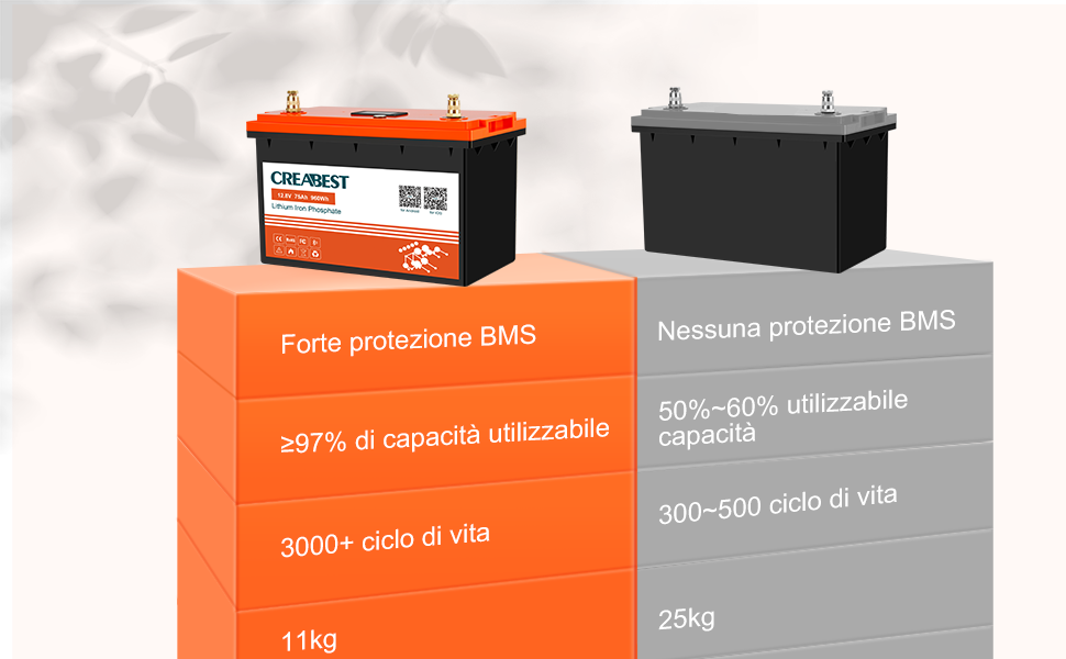 lifepo4 vs agm batterie