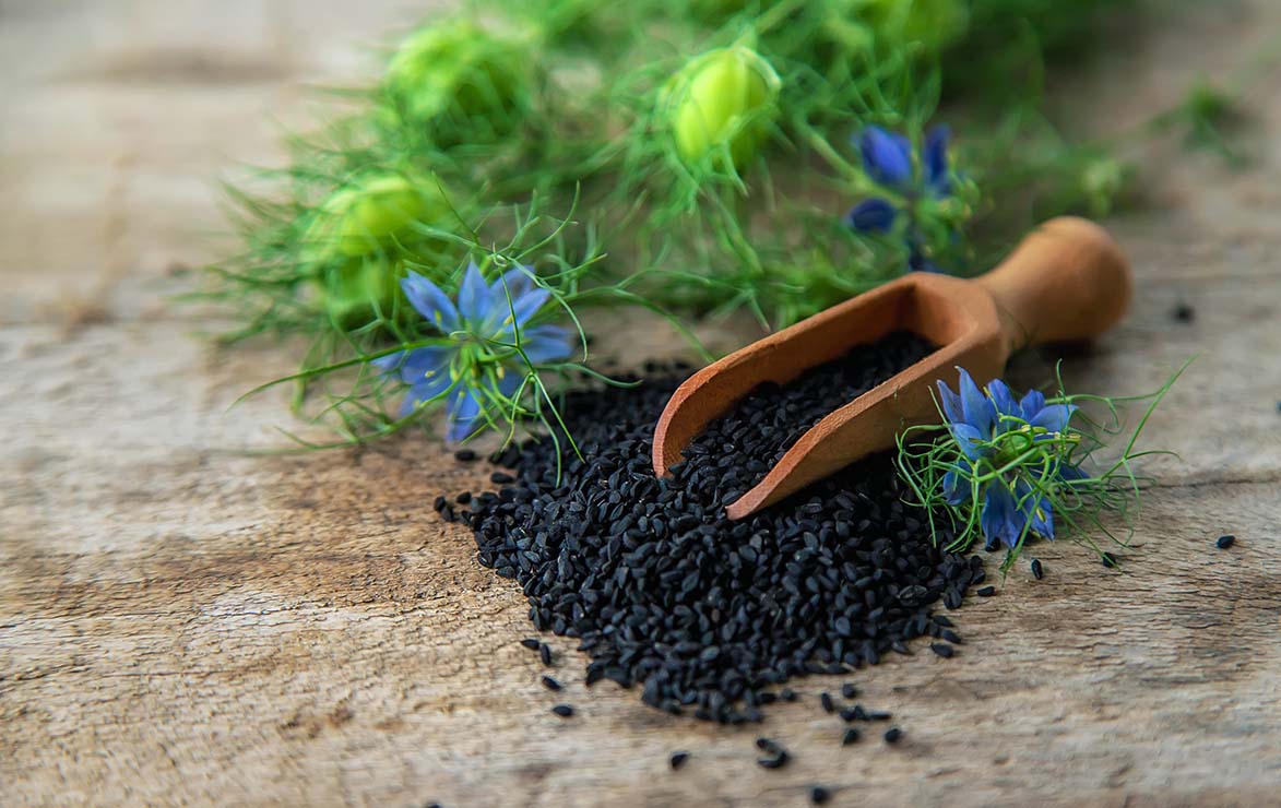 5 amazing facts about the Nigella sativa (black seed) plant – Hemp Shack