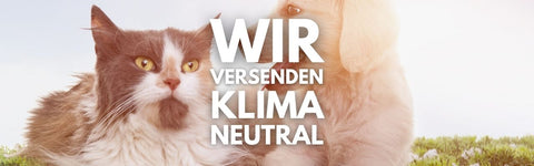 pfotenabdruck katze