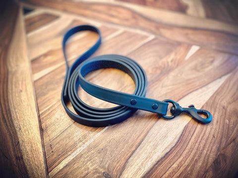 Black leash with black hardware - 6ft
