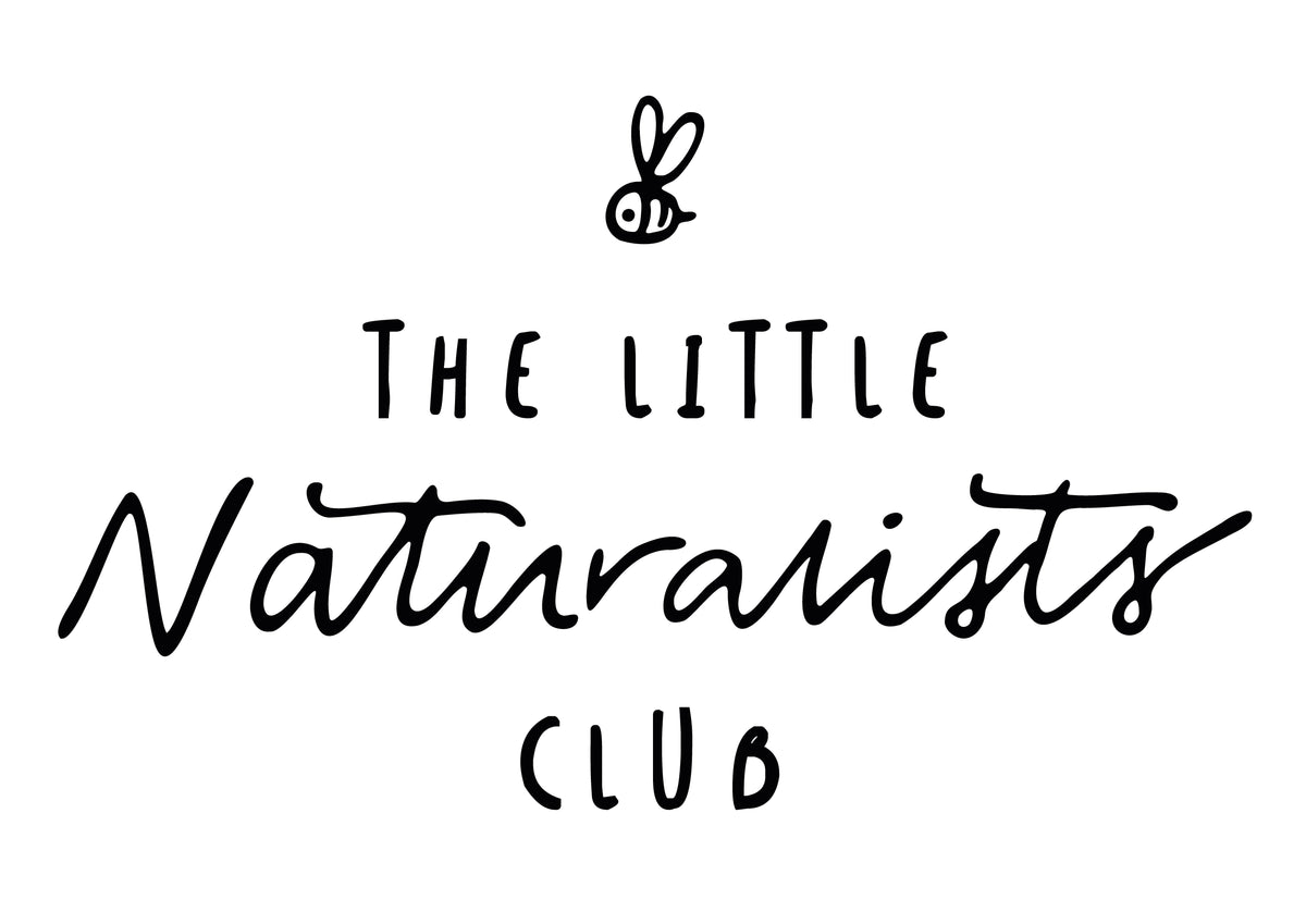 The Little Naturalists Club