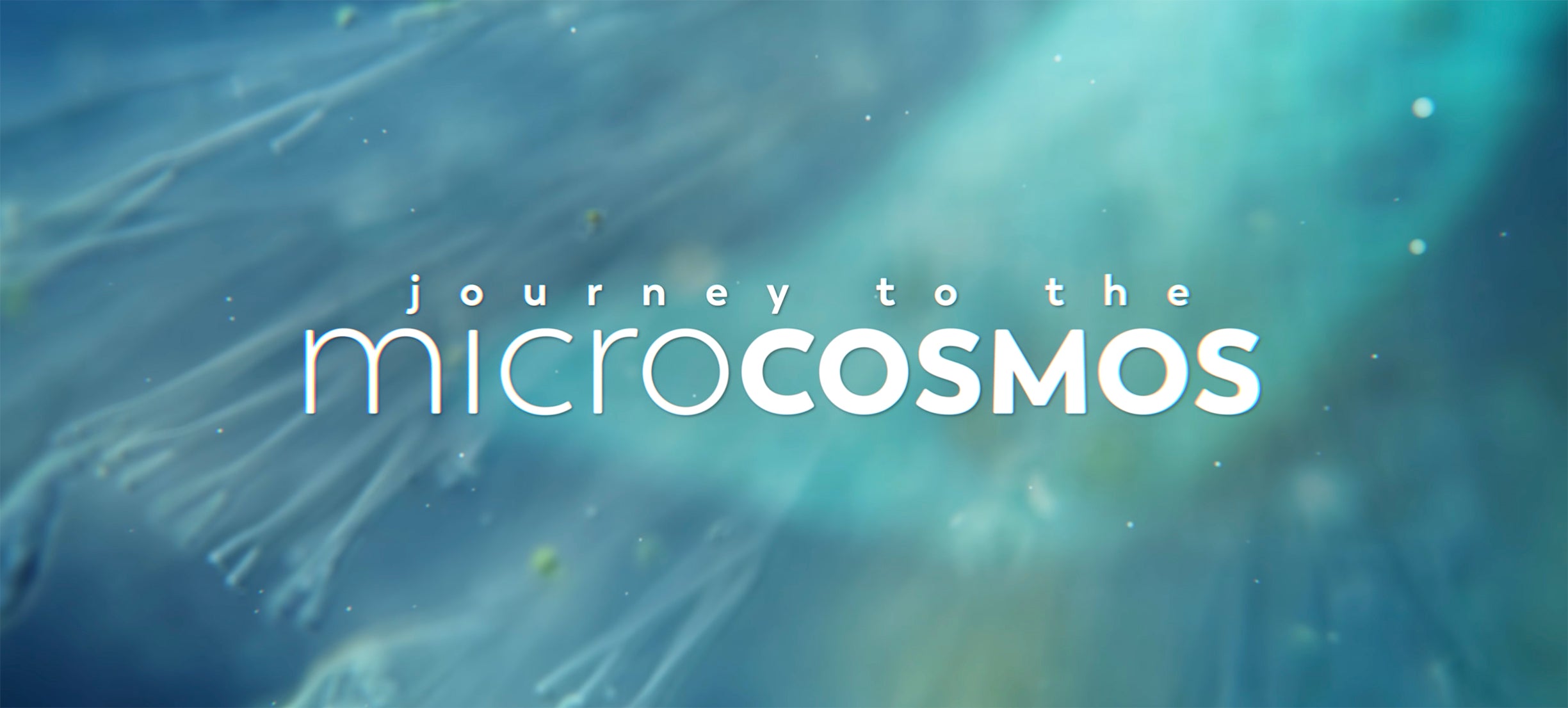 journey to the microcosmos soundtrack