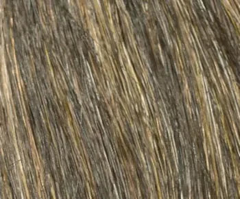 Scarlett Petite wig - Envy Collection