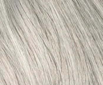 Harper wig - Envy Collection