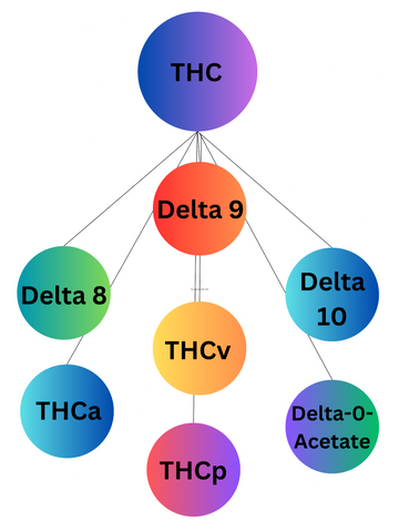 Variants of THC