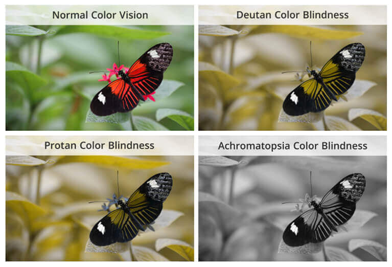 Types of Color Blindness