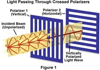 Light Passing Through Crossed Polarizers