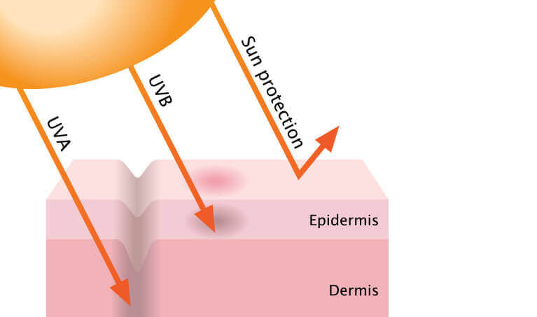 UVA/UVB Rays