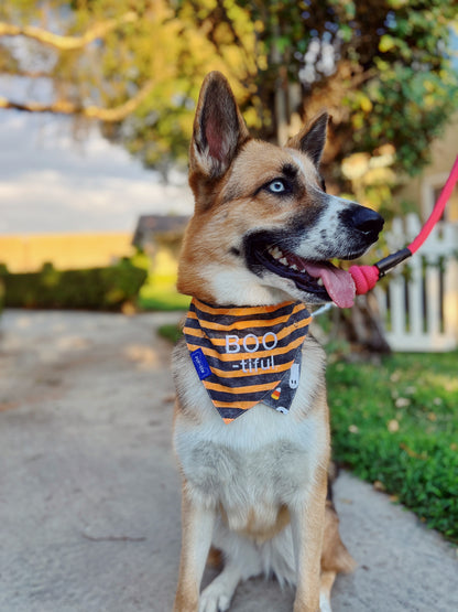 “Candy Corn Ghosts” Striped Dog Collar Bandana, Reversible and Two-Tone