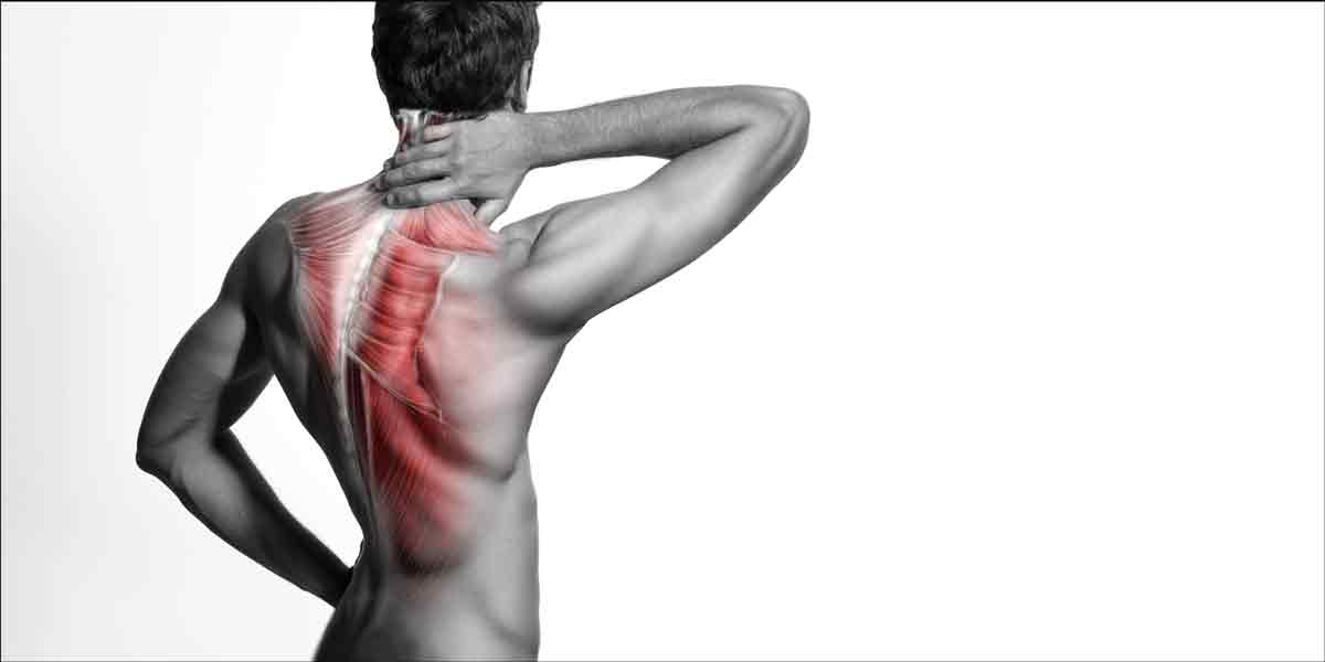 Why Remedial Massage is the Ultimate Solution for Muscle Recovery in Toowoomba - Man holding back of neck