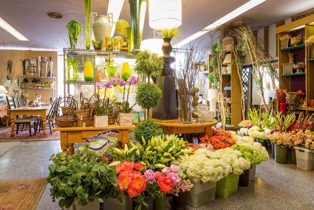 A Haven for Floral Enthusiasts