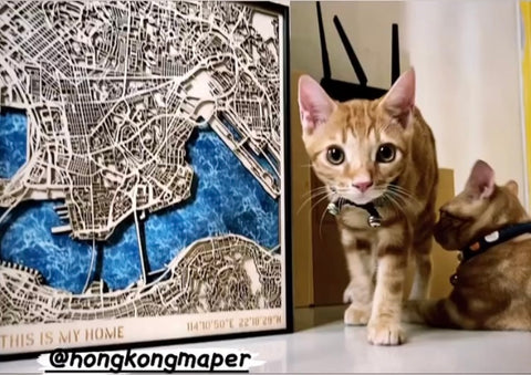 Products Framed Woodcut Map of Hong Kong and an Adorable Kitten Hong Kong Maper