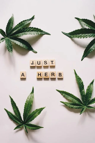 Just a Herb