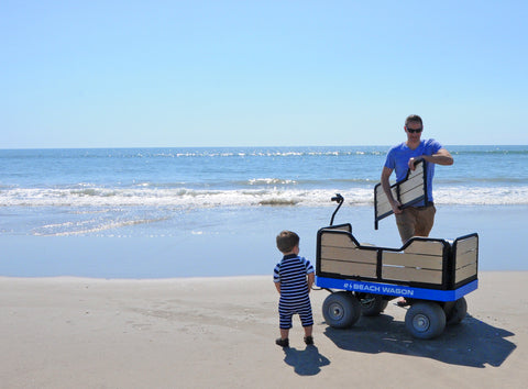 e-Beach Wagon great for the whole family