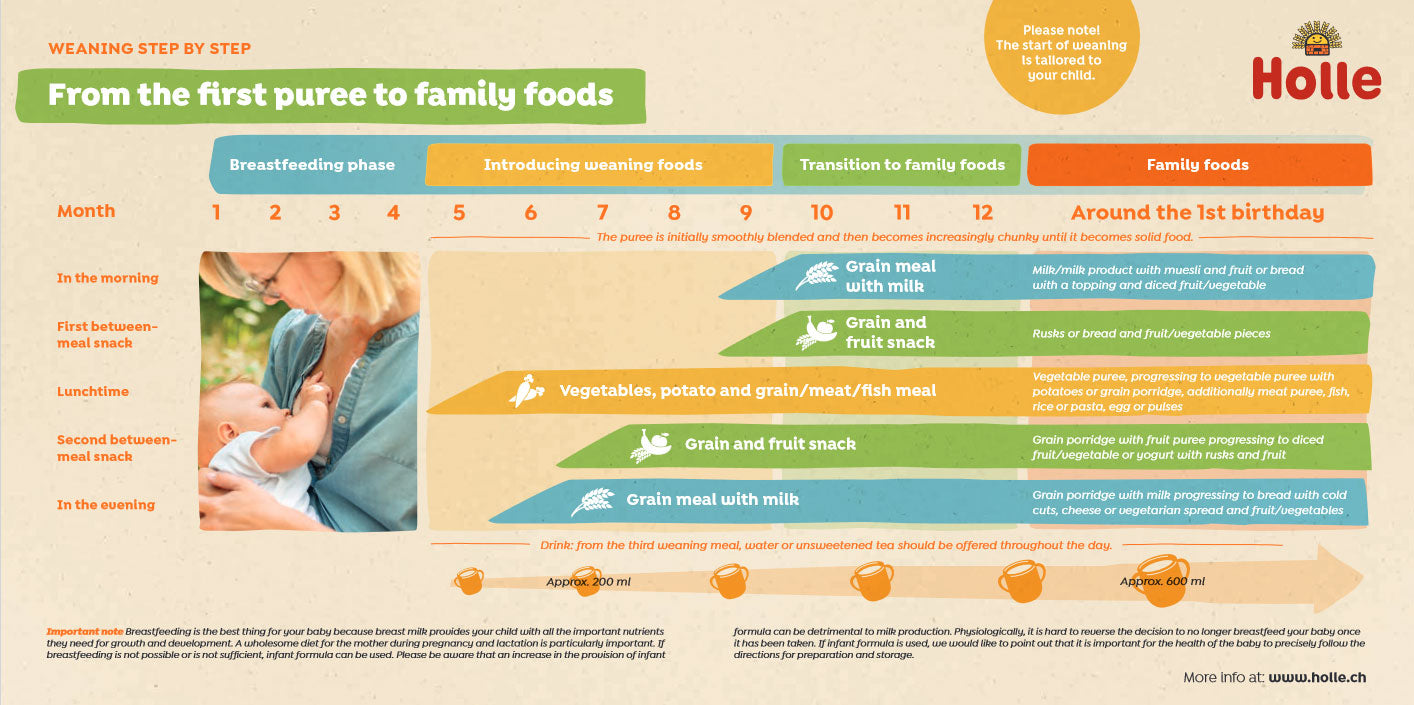 Holle Weaning Advice Chart