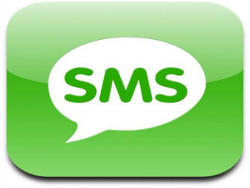 Get SMS updates on your baby food order