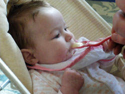 Baby Matilda eating her Holle baby food