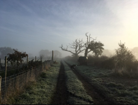 farm-track-in-winter