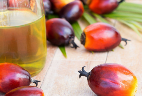 palm-oil-fruit-and-oil
