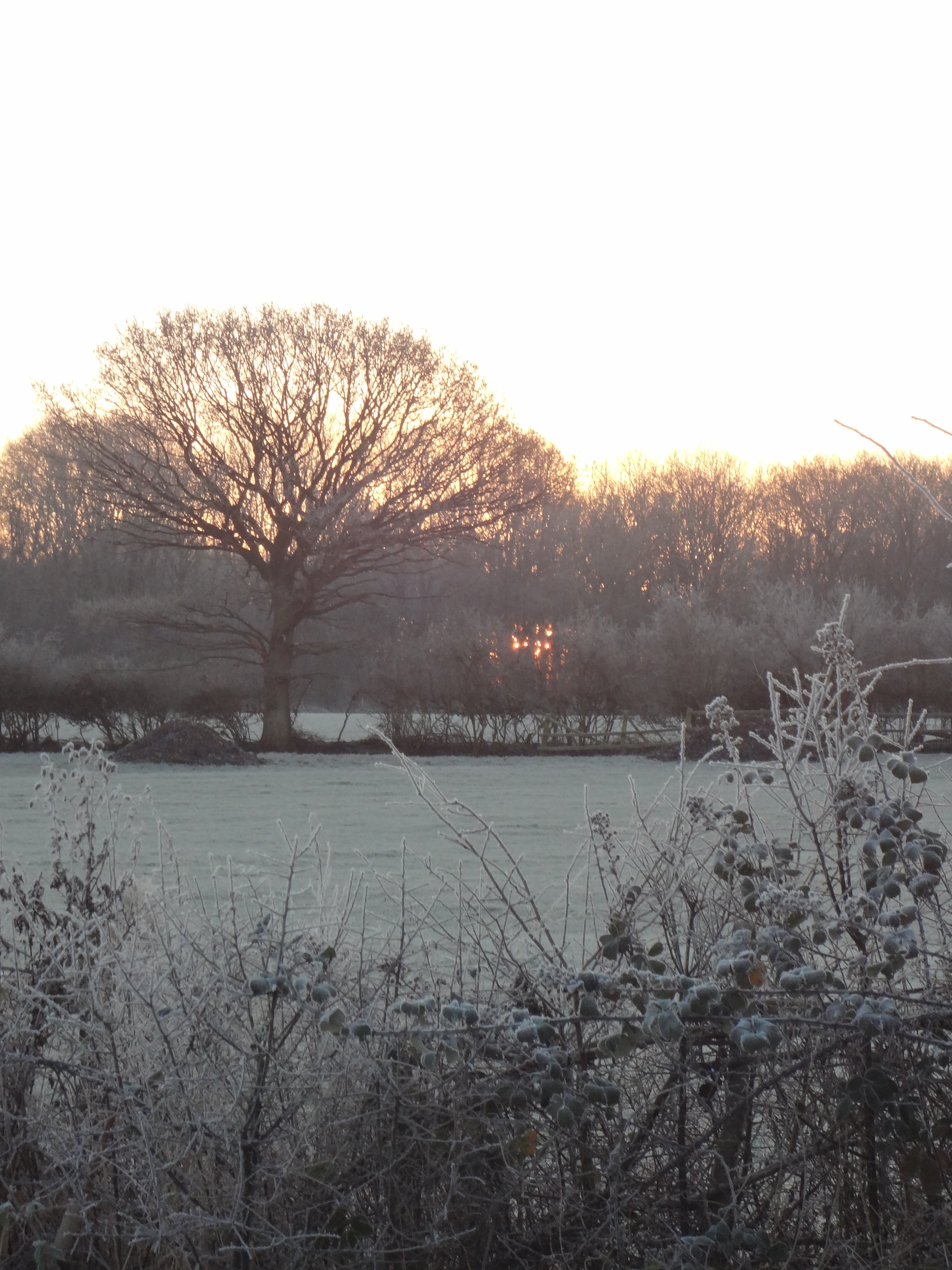 sunset-over-frozen-scene