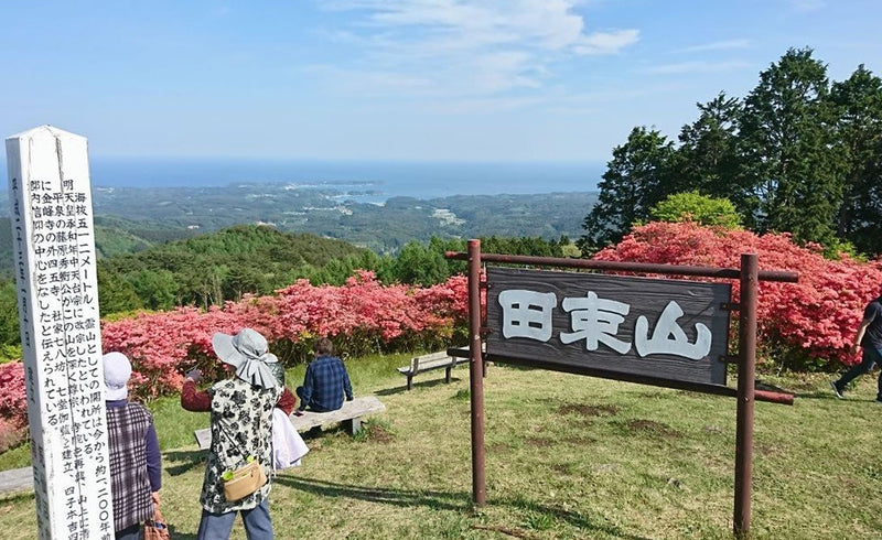 来年版の弊社商品カタログの表紙は 田束山 たつがねさん