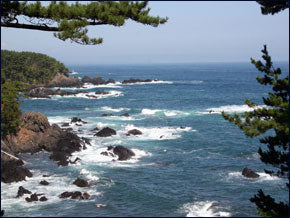 当店工場から見える海の風景