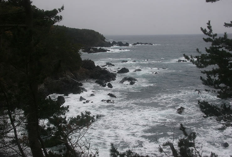 宮城県 歌津 海