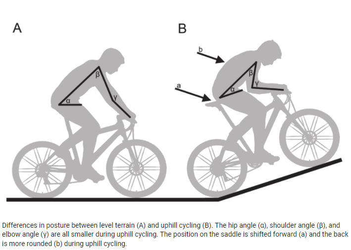 Biomechanics and energetics of uphill cycling