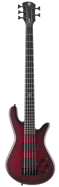 schecter diamond series custom 5 bass